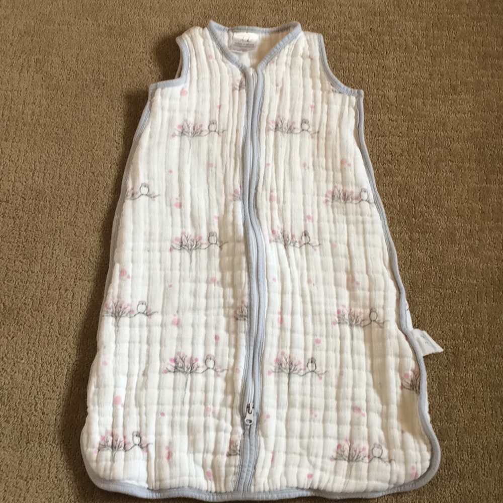 Aden + Anais sleeping bag